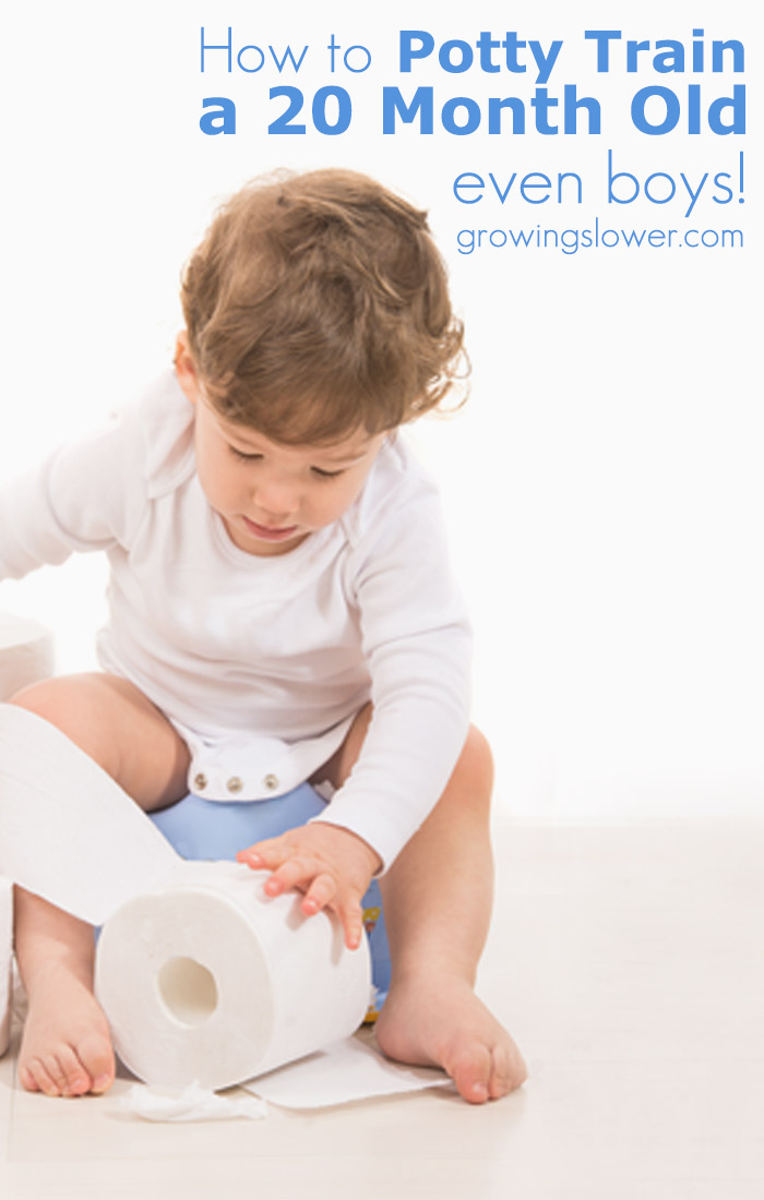 How To Potty Train A 20 Month Old Boy Potty Training For Boys