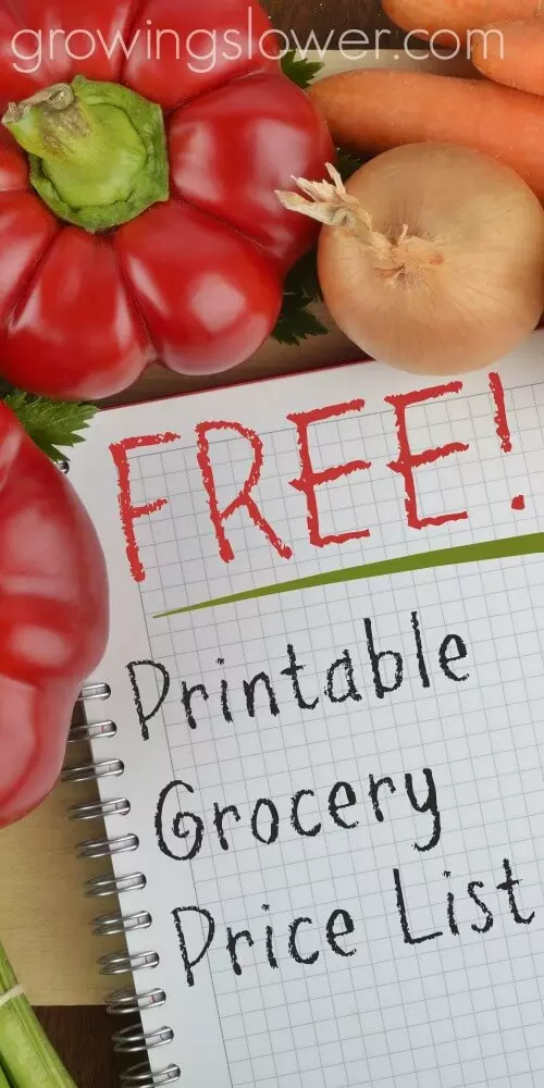 Download this free grocery price book printable template, so you can get on your way to big grocery savings! Using a grocery price list is one of my favorite money saving ideas that helped me cut my grocery budget in half and become debt free!