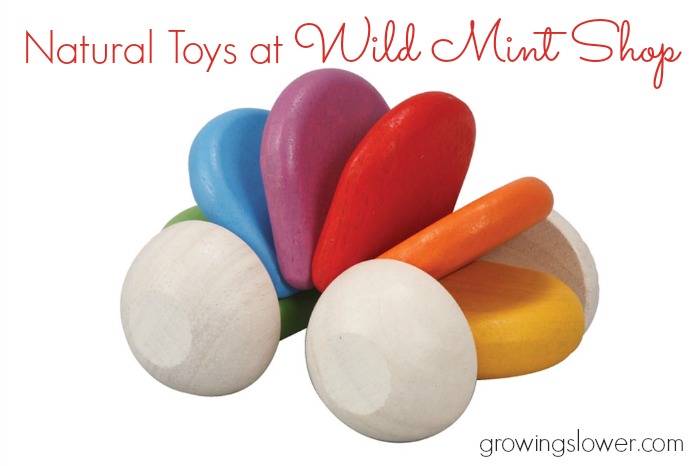 If you're looking for high-quality natural toys this Christmas, you can count on Wild Mint Shop. They've done all the leg work for you to find the best safe, non-toxic, and eco-friendly toys, so you don't have to spend hours researching.